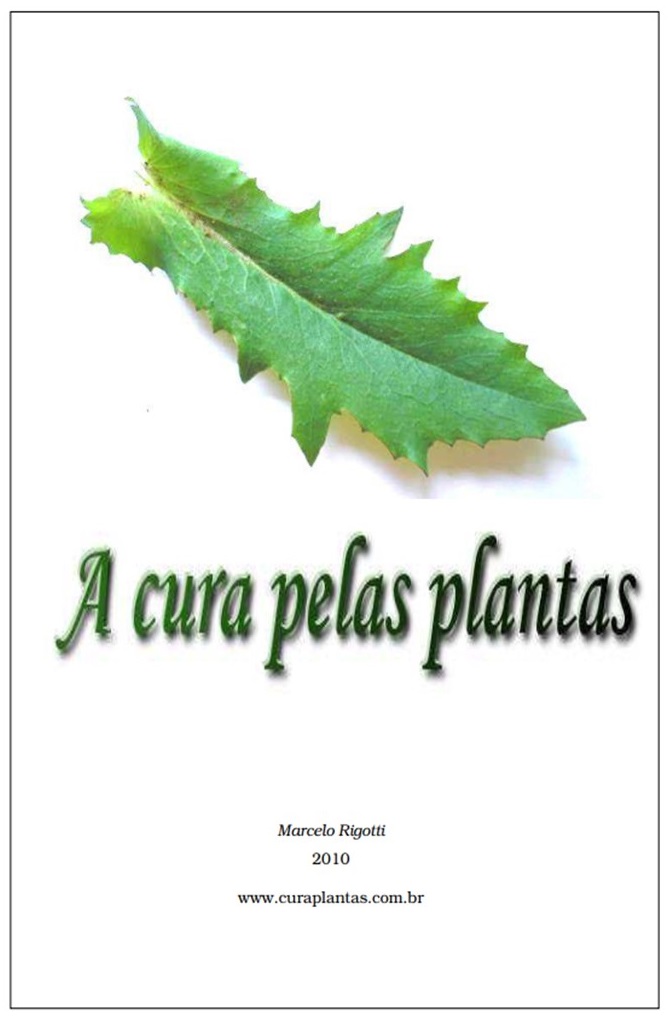 Curso de Fitoterapia Online – Estudo Das Plantas Medicinais